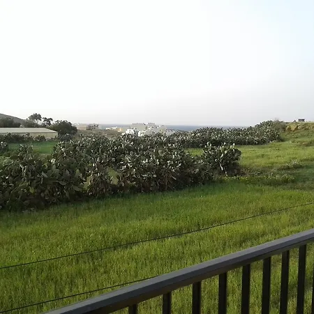 Tan Nahla *